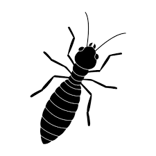jasa basmi rayap jabodetabek